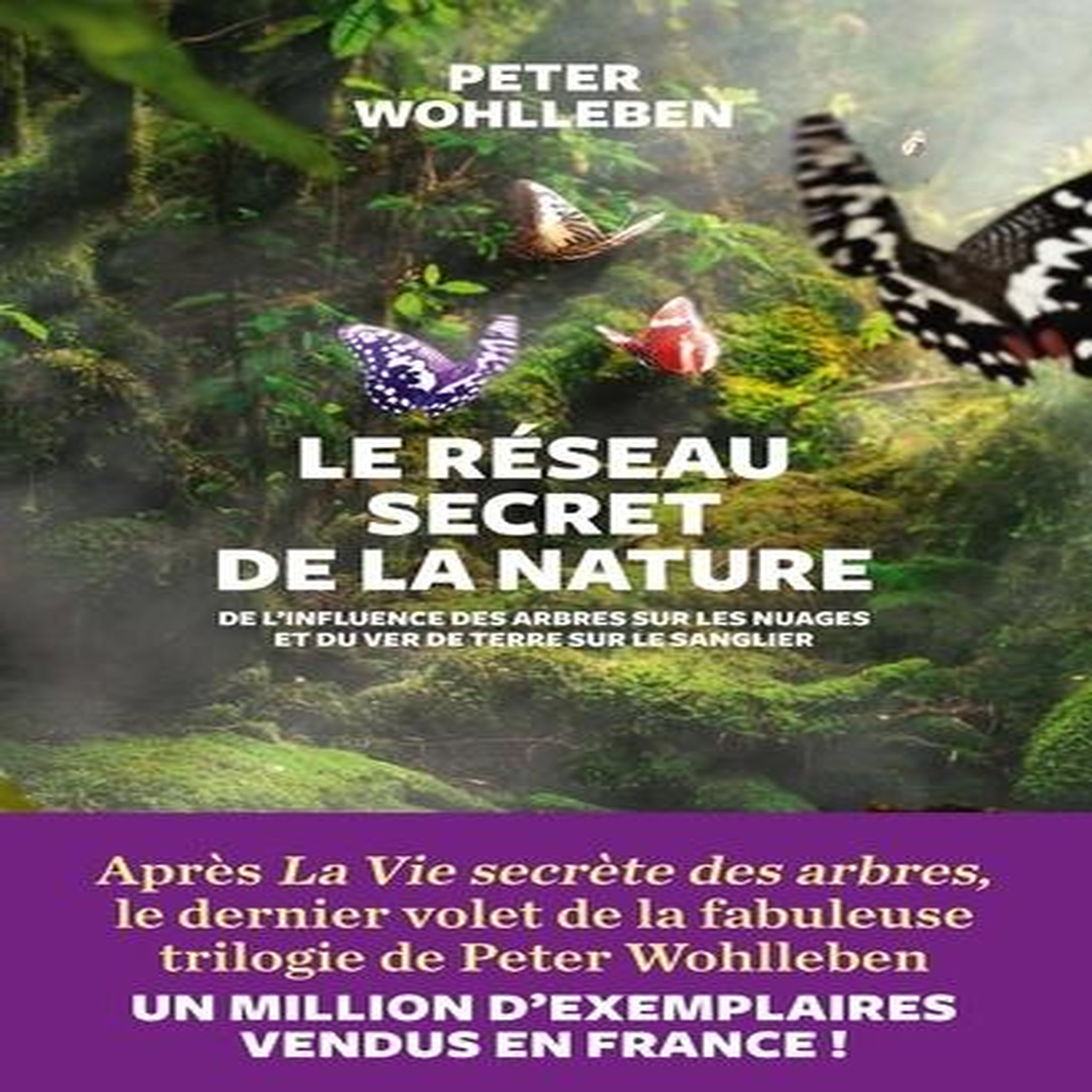 LE RESEAU SECRET DE LA NATURE. DE L'INFLUENCE DES ARBRES SUR LES NUAGES ET DU VER DE TERRE SUR LE SANGLIER, Wohlleben Peter