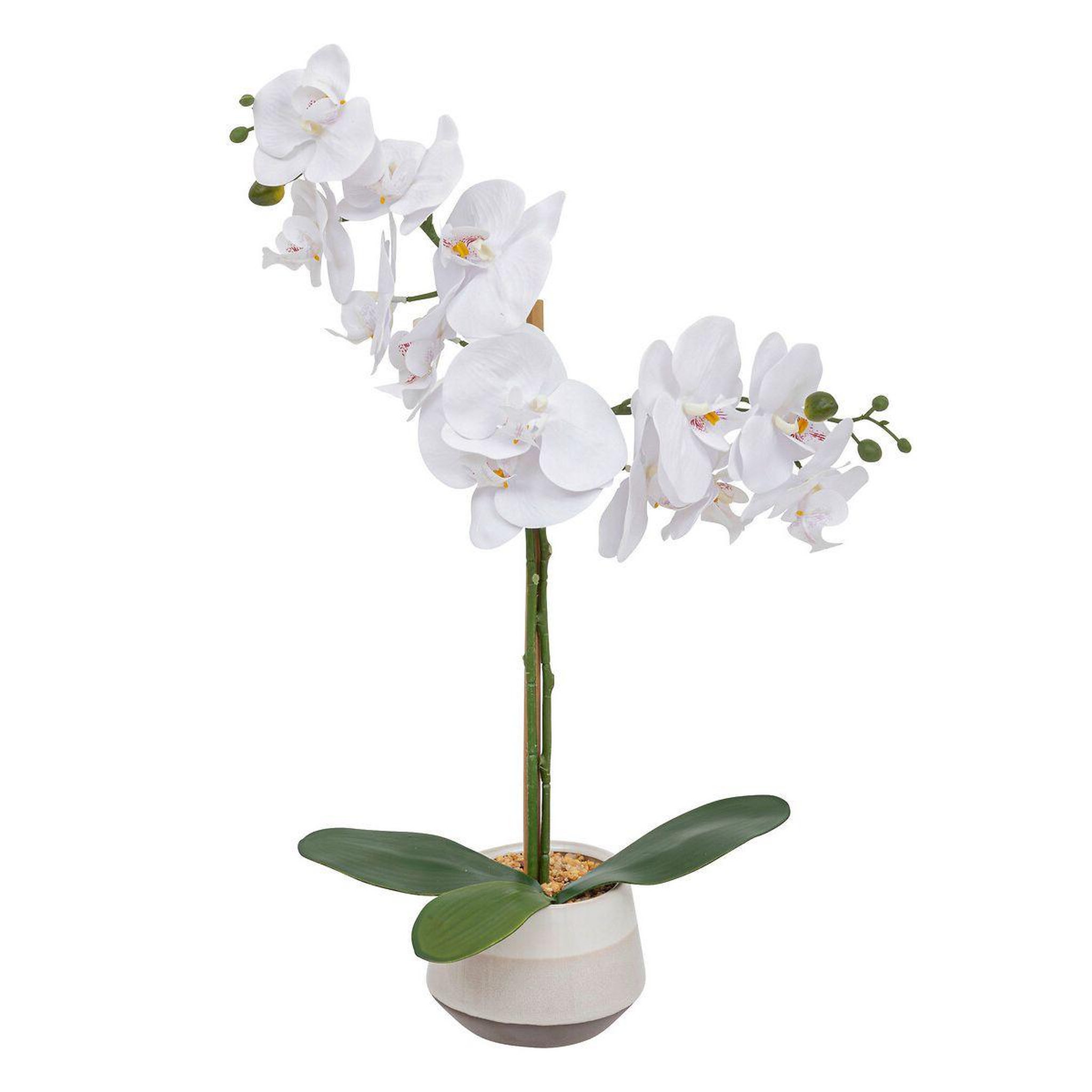 ATMOSPHERA Orchidée artificielle en pot  clera  52cm blanc
