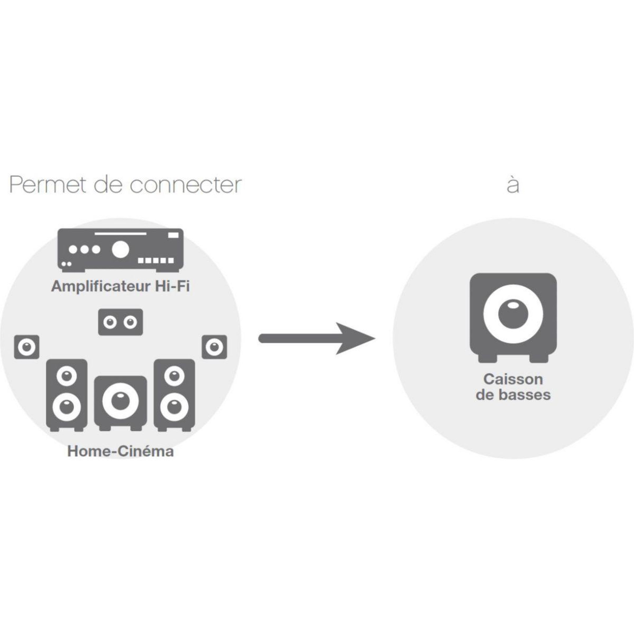 Voir la diapositive 5 : ESSENTIEL B Câble subwoofer 5m - ecp