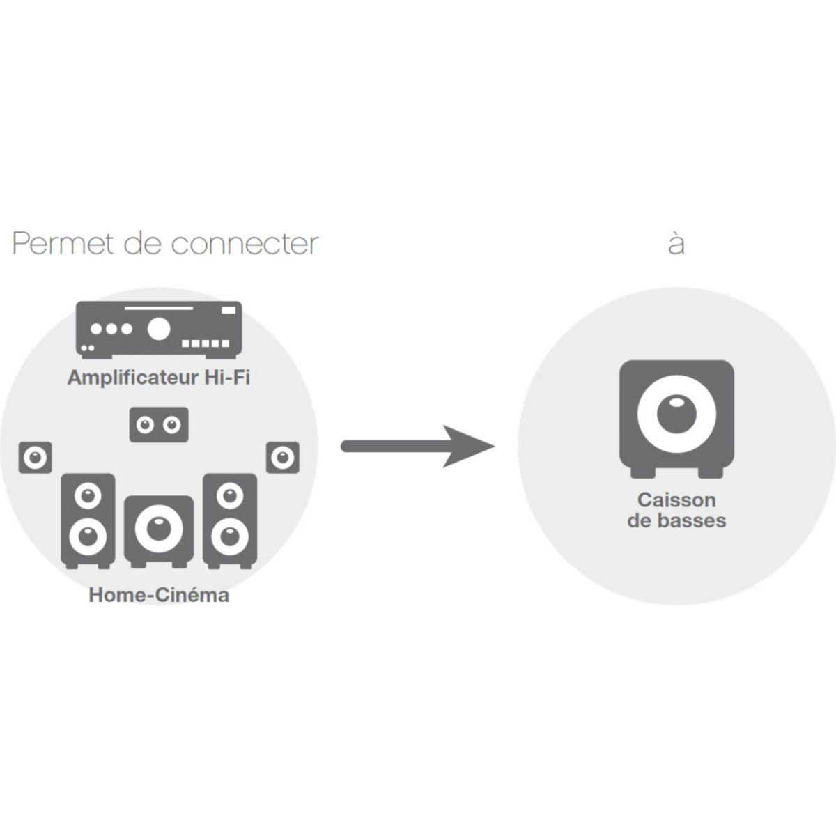 ESSENTIEL B Câble subwoofer 5M - ecp