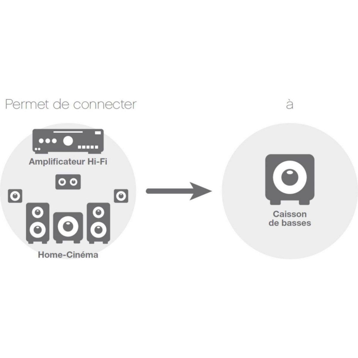 ESSENTIEL B Câble subwoofer 5M - ecp