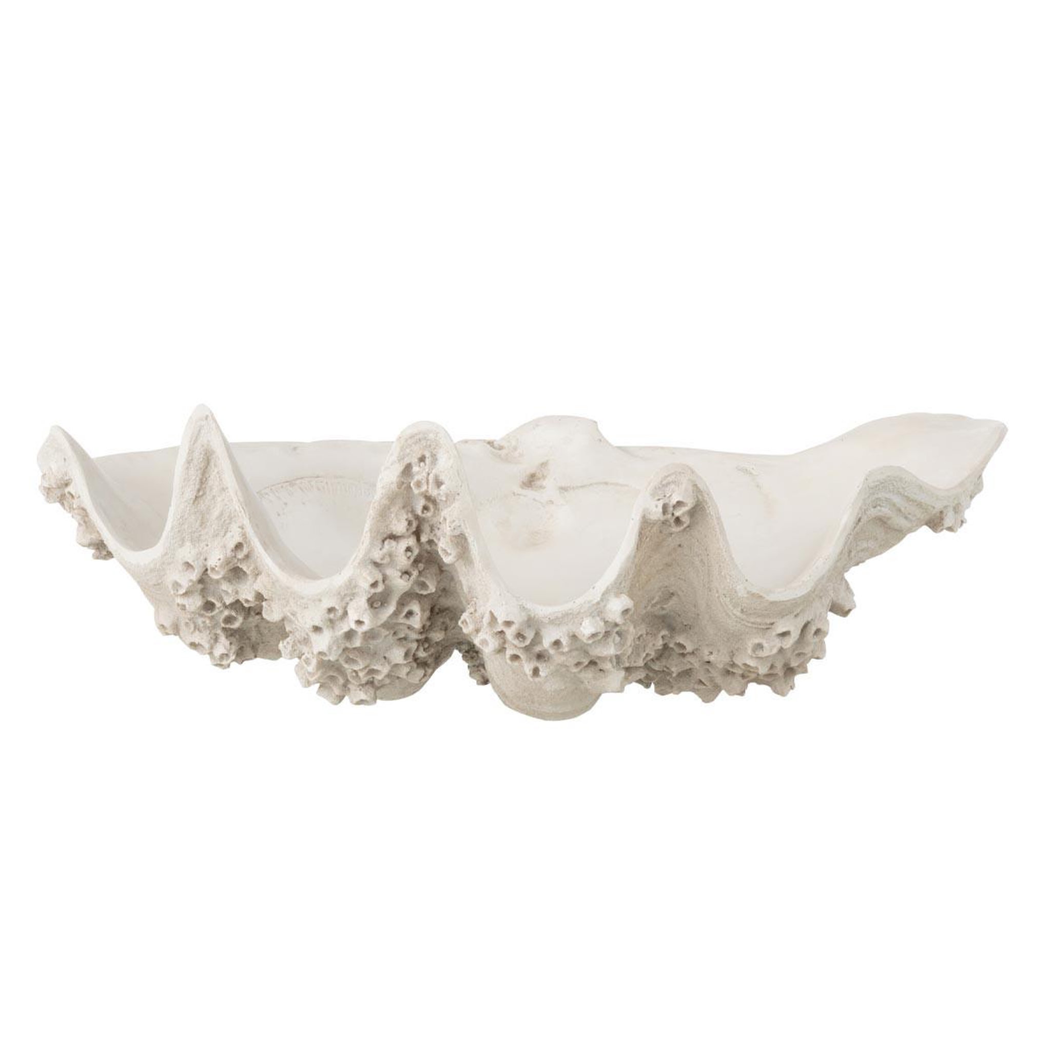 J-LINE Coupelle déco  coquillage  52cm blanc cassé