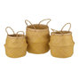 Voir la diapositive 1 : Paris Prix Lot de 3 Paniers de Rangement  Rétractables  30cm Jaune