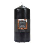 Paris Prix Bougie Pilier  Essentiel II  15cm Bois de Santal