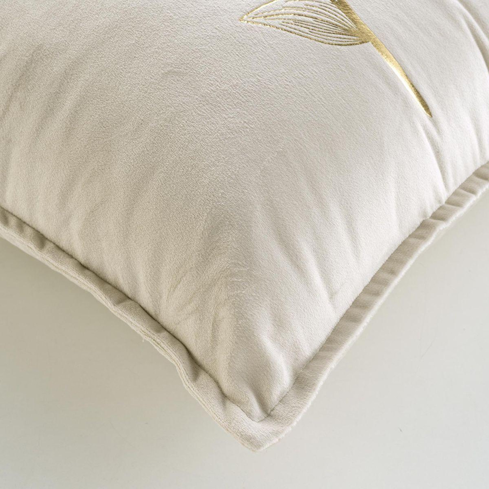 Voir la diapositive 3 : Douceur d'Intérieur Coussin déco en velours  oxalis  45x45cm beige
