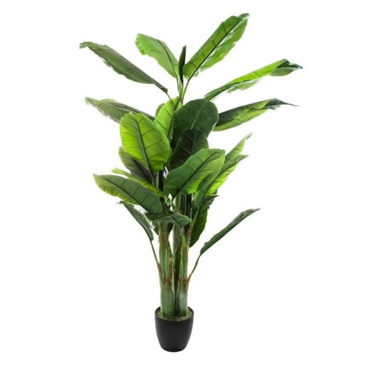 ATMOSPHERA Plante Artificielle  Bananier  170cm Vert