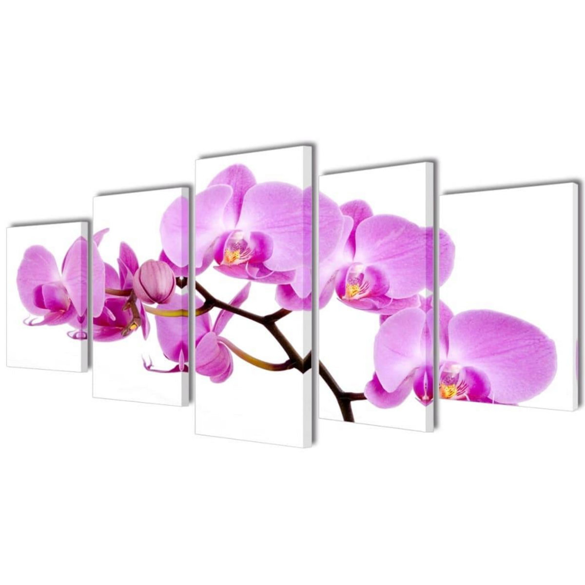 VIDAXL Set de toiles murales imprimees Orchidee 200 x 100 cm
