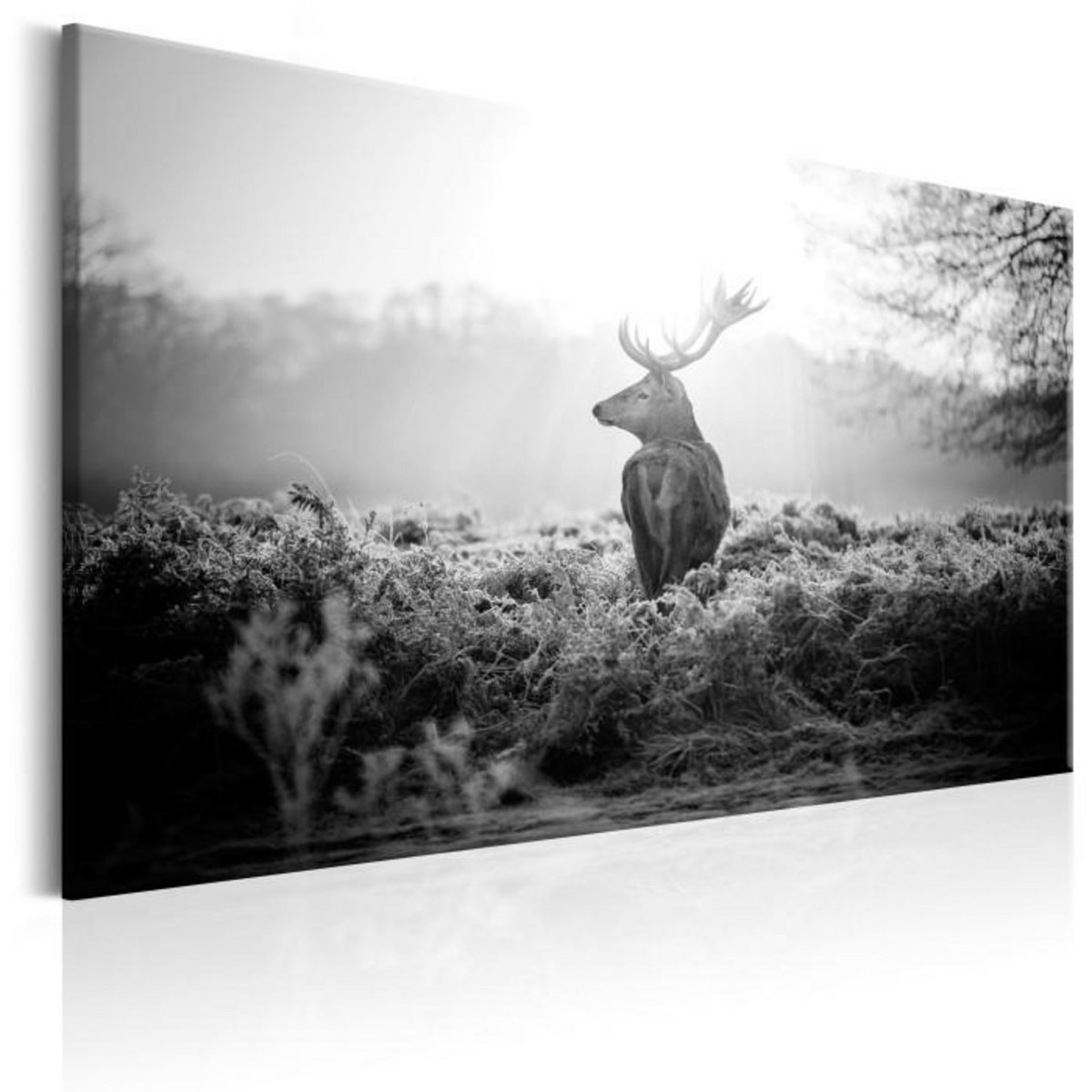 Paris Prix Tableau Imprimé  Black & White Deer