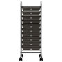 Voir la diapositive 2 : VIDAXL Chariot de rangement mobile a 10 tiroirs Noir Plastique