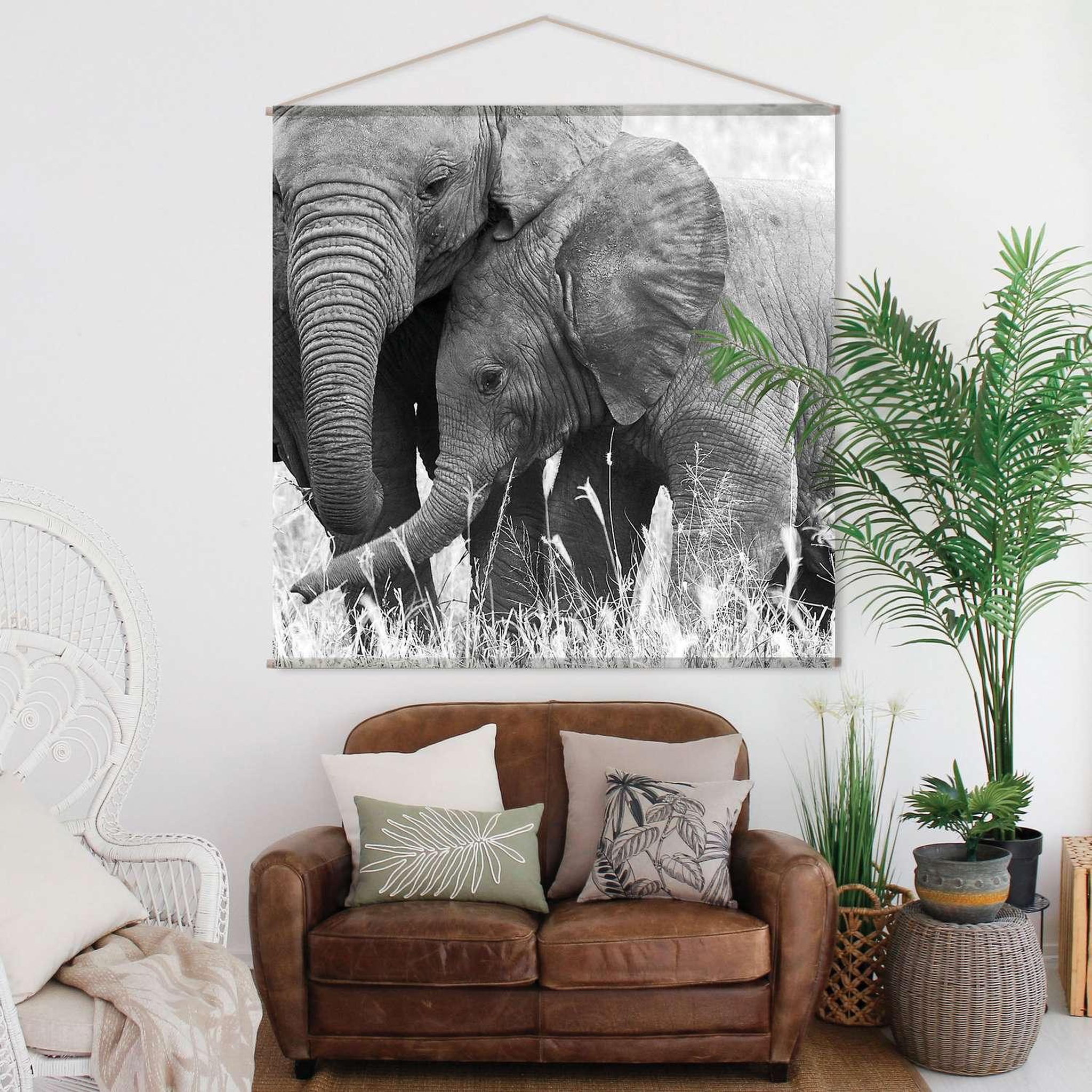 Voir la diapositive 2 : TOILINUX Toile murale imprimée éléphant - 150 x 150 cm - noir et blanc