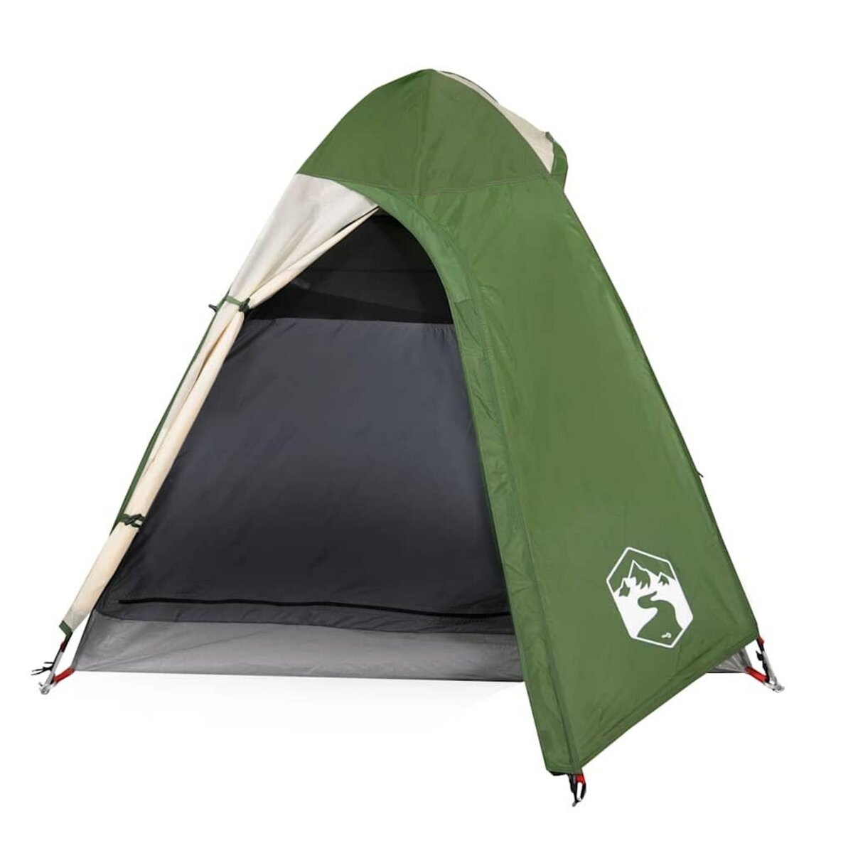 VIDAXL Tente de camping a dome 2 personne vert impermeable