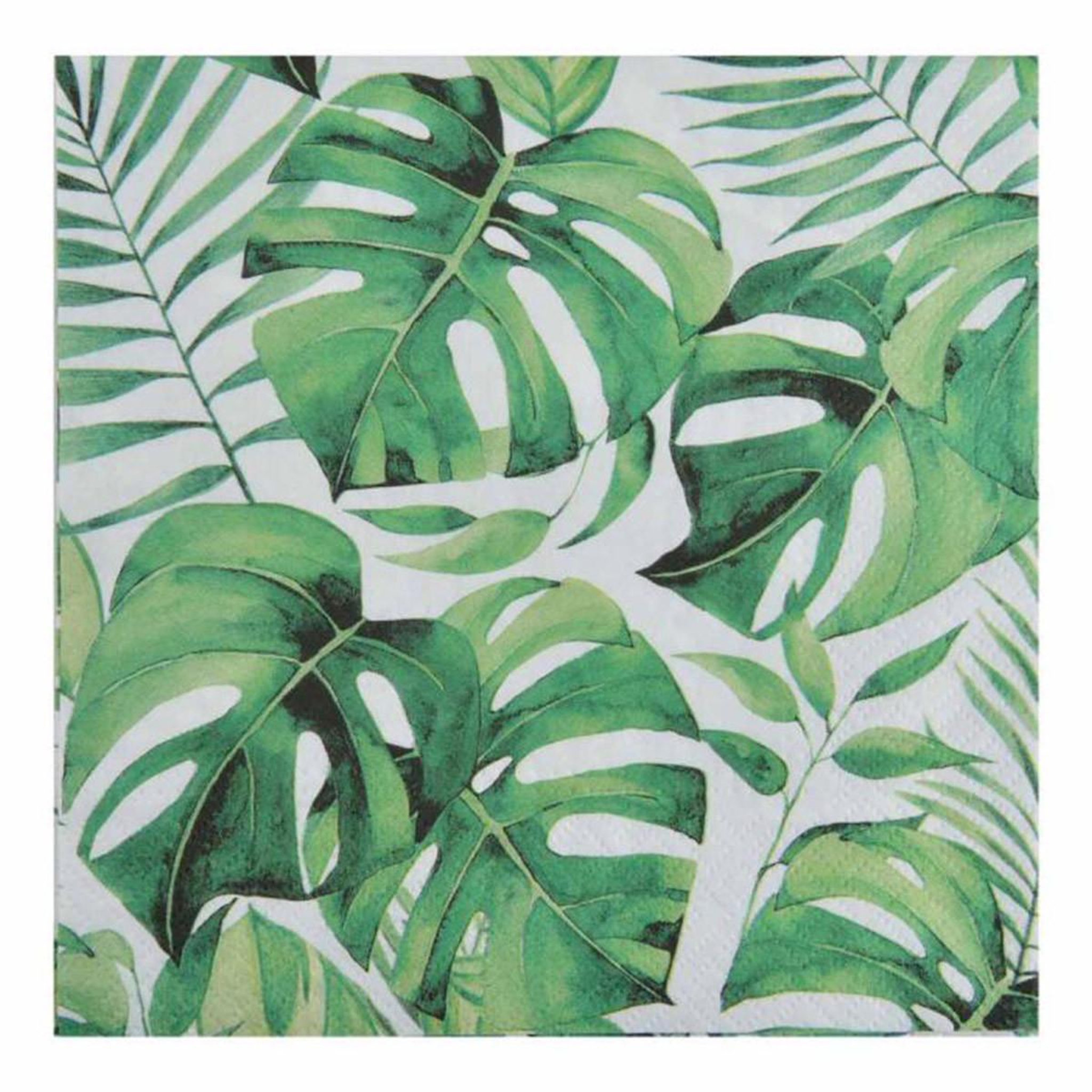 HOMEA Lot de 20 serviettes en papier  monstera  33x33cm vert