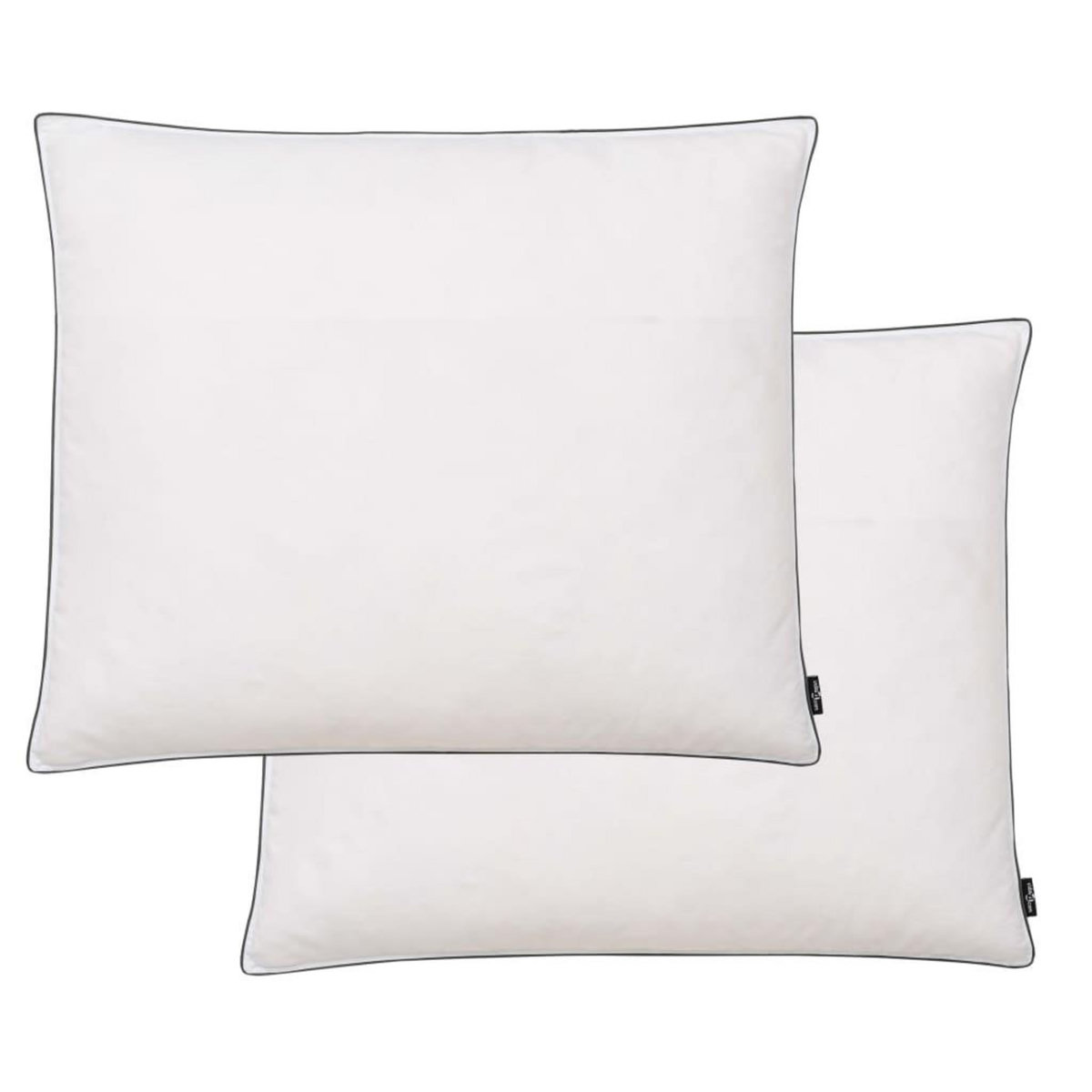 VIDAXL Oreiller lot de 2 Remplissage de duvet leger 70 x 60 cm Blanc