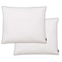 Voir la diapositive 1 : VIDAXL Oreiller lot de 2 Remplissage de duvet leger 70 x 60 cm Blanc