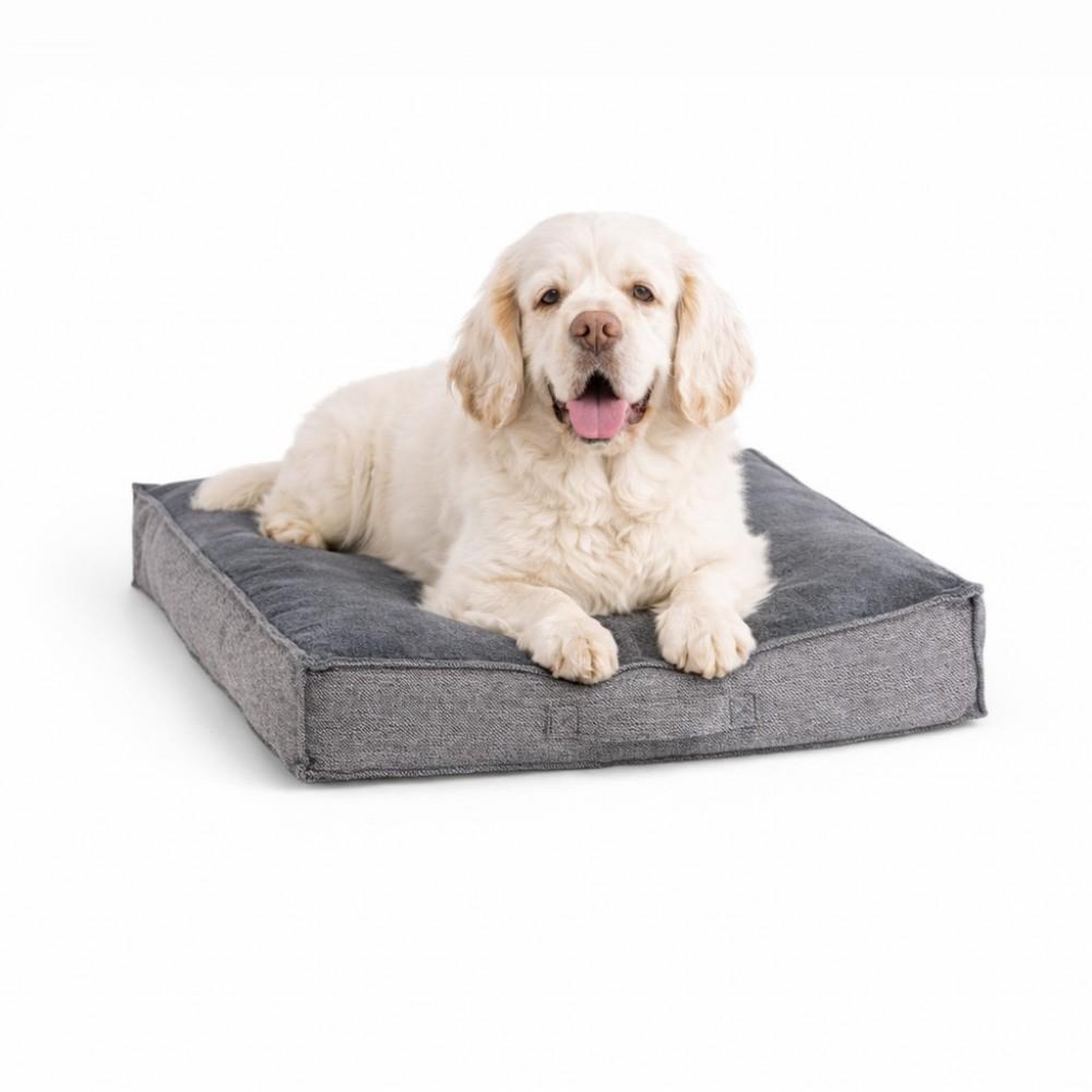 Voir la diapositive 1 : MON AMI LUKI Matelas lines bi-matière - antidérapant - confortable - petit chien