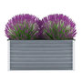 Voir la diapositive 1 : VIDAXL Lit sureleve de jardin Acier galvanise 100x40x45 cm Gris