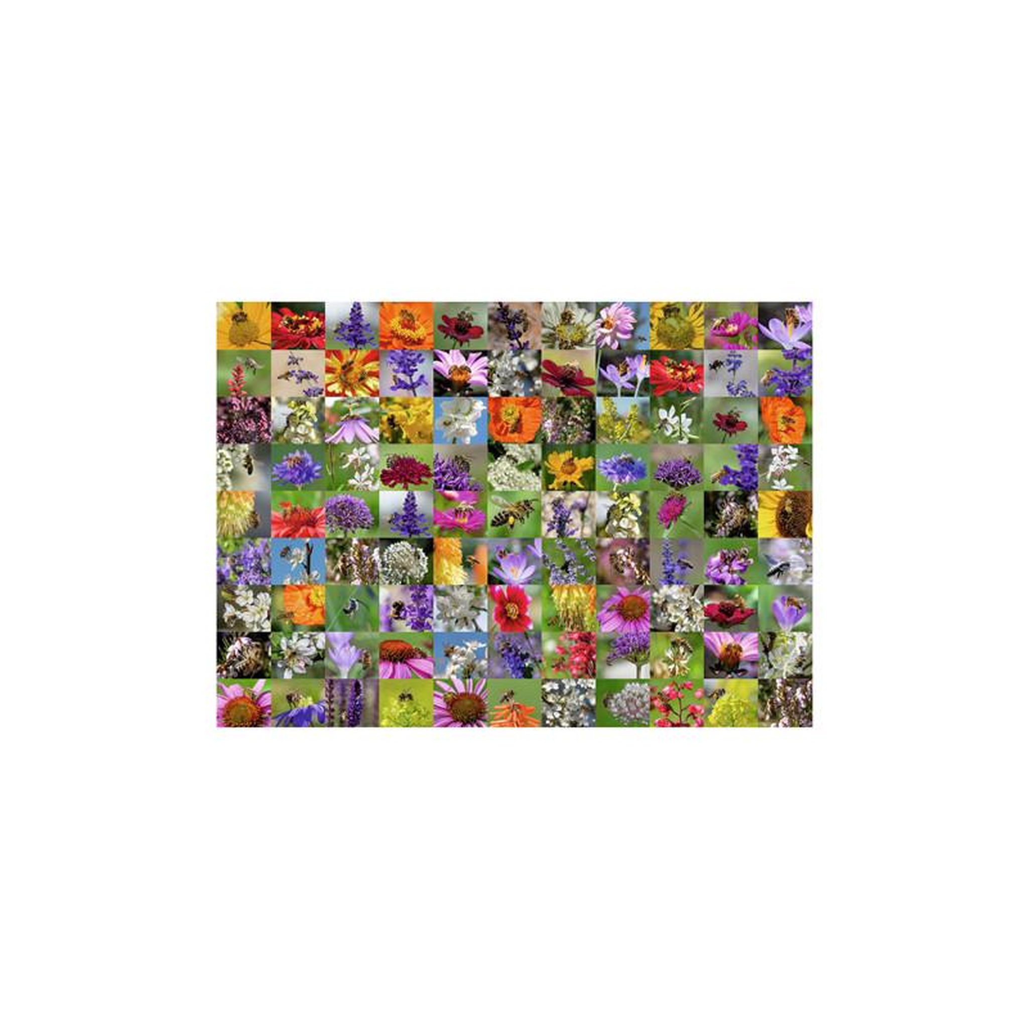 Voir la diapositive 2 : RAVENSBURGER Ravensburger - Jigsaw puzzle 99 Bees, 1000 pcs. 120006176