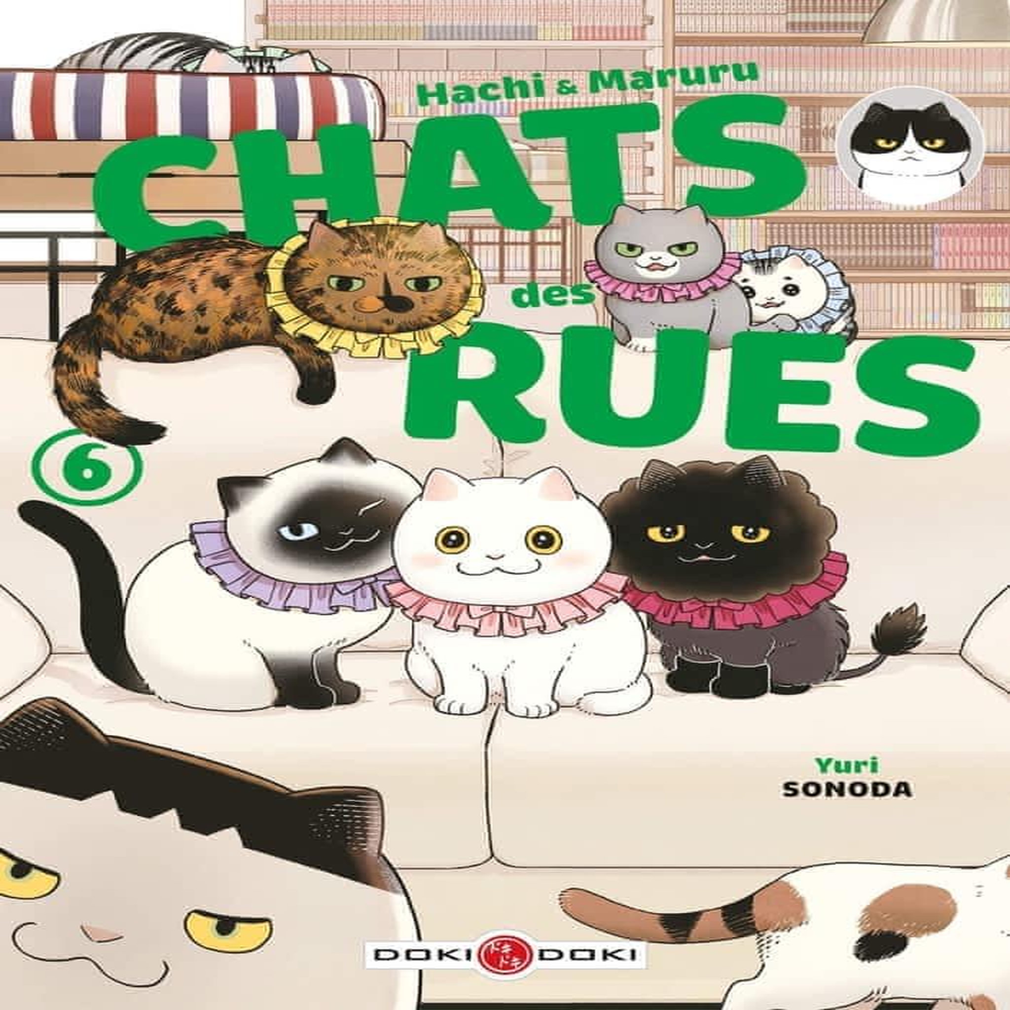 HACHI & MARURU, CHATS DES RUES TOME 6 , Sonoda Yuri