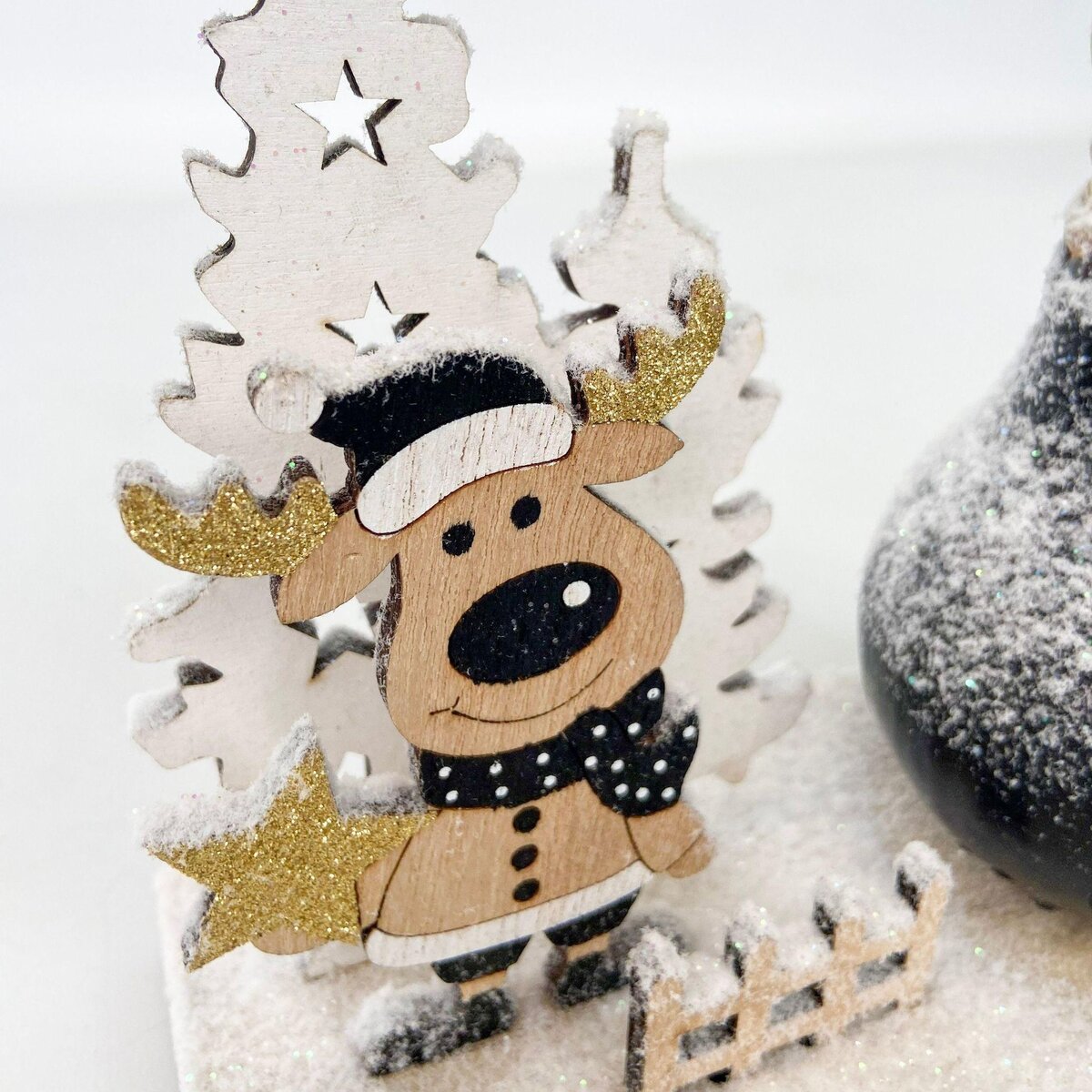 PLANT IN A BOX Amaryllis - Hippeastrum 'Pays des Merveilles Renne'