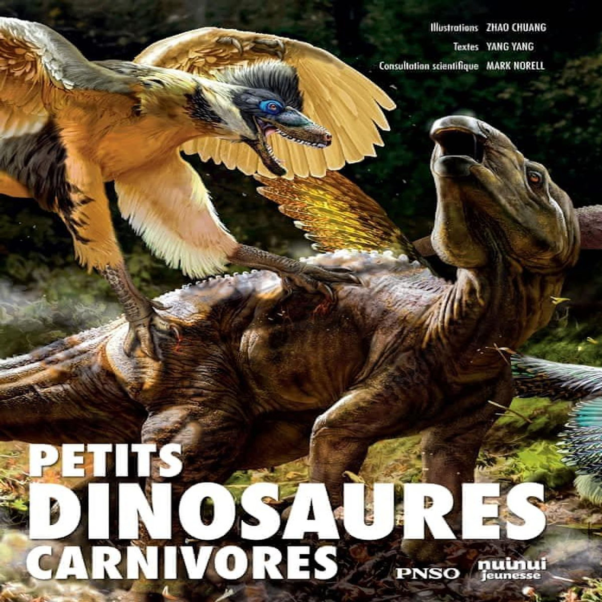 PETITS DINOSAURES CARNIVORES, Yang Yang