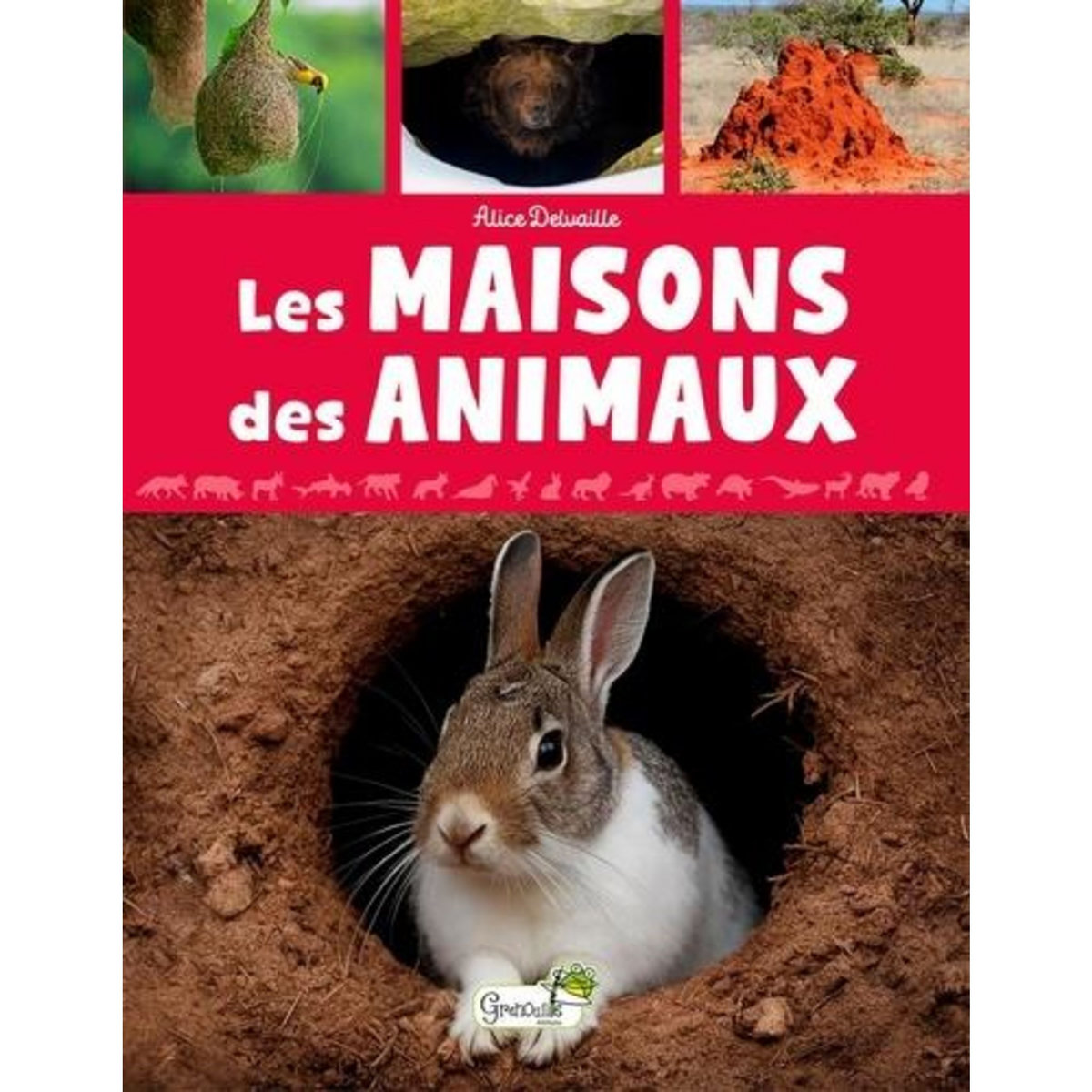 LES MAISONS DES ANIMAUX, Delvaille Alice