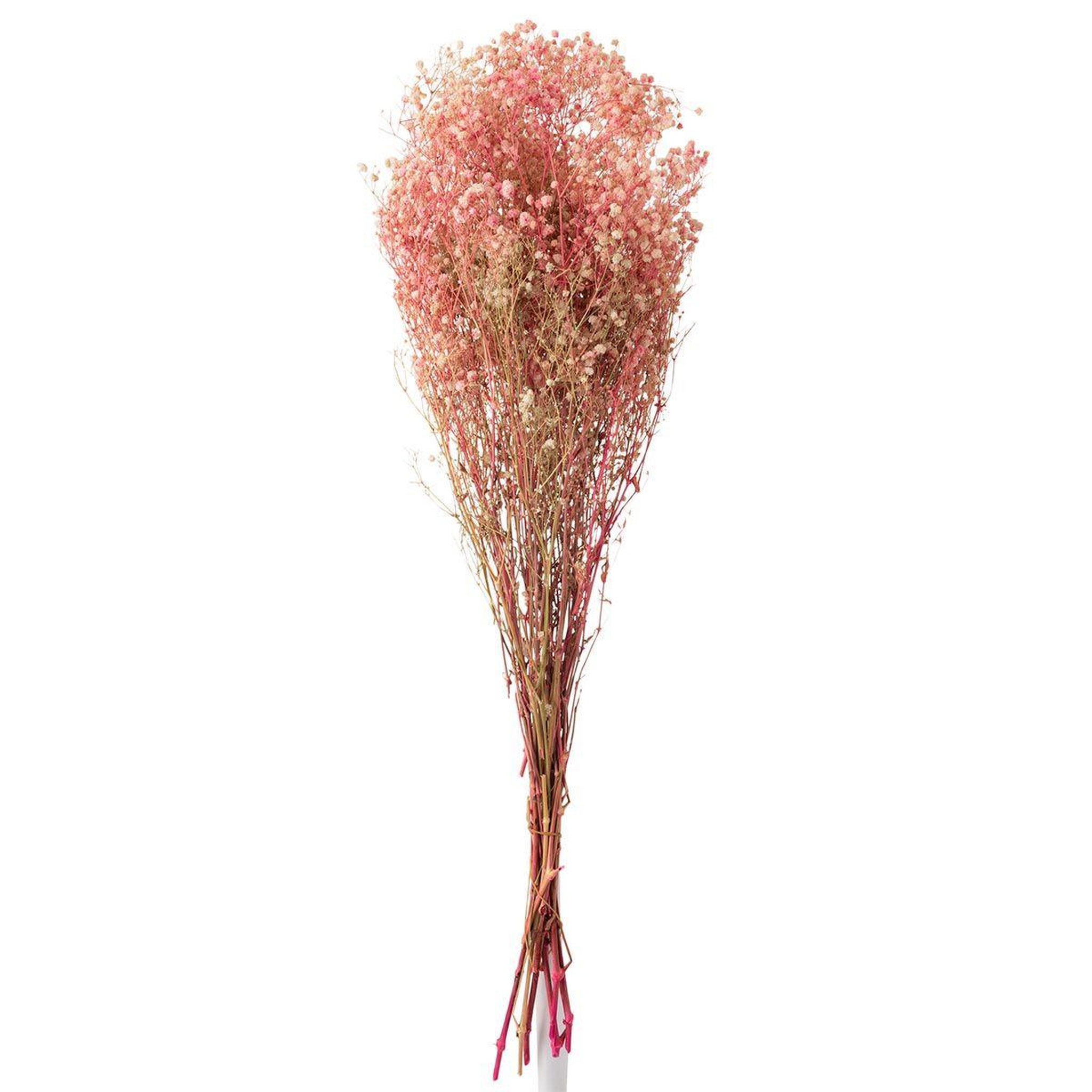 J-LINE Bouquet de fleurs  gypsophile séché  84cm rose