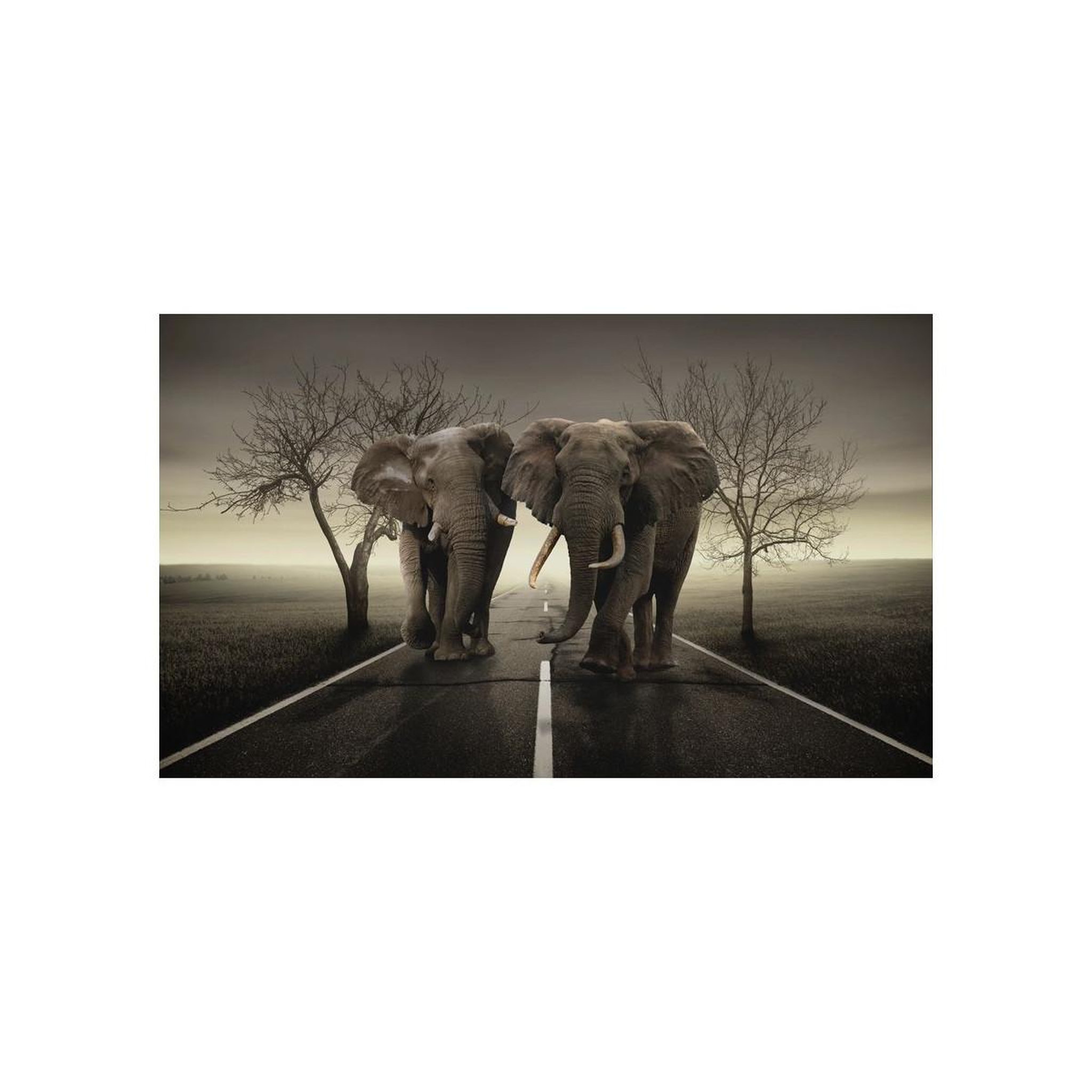 Voir la diapositive 2 : Paris Prix Papier peint  city of elephants  270x450cm