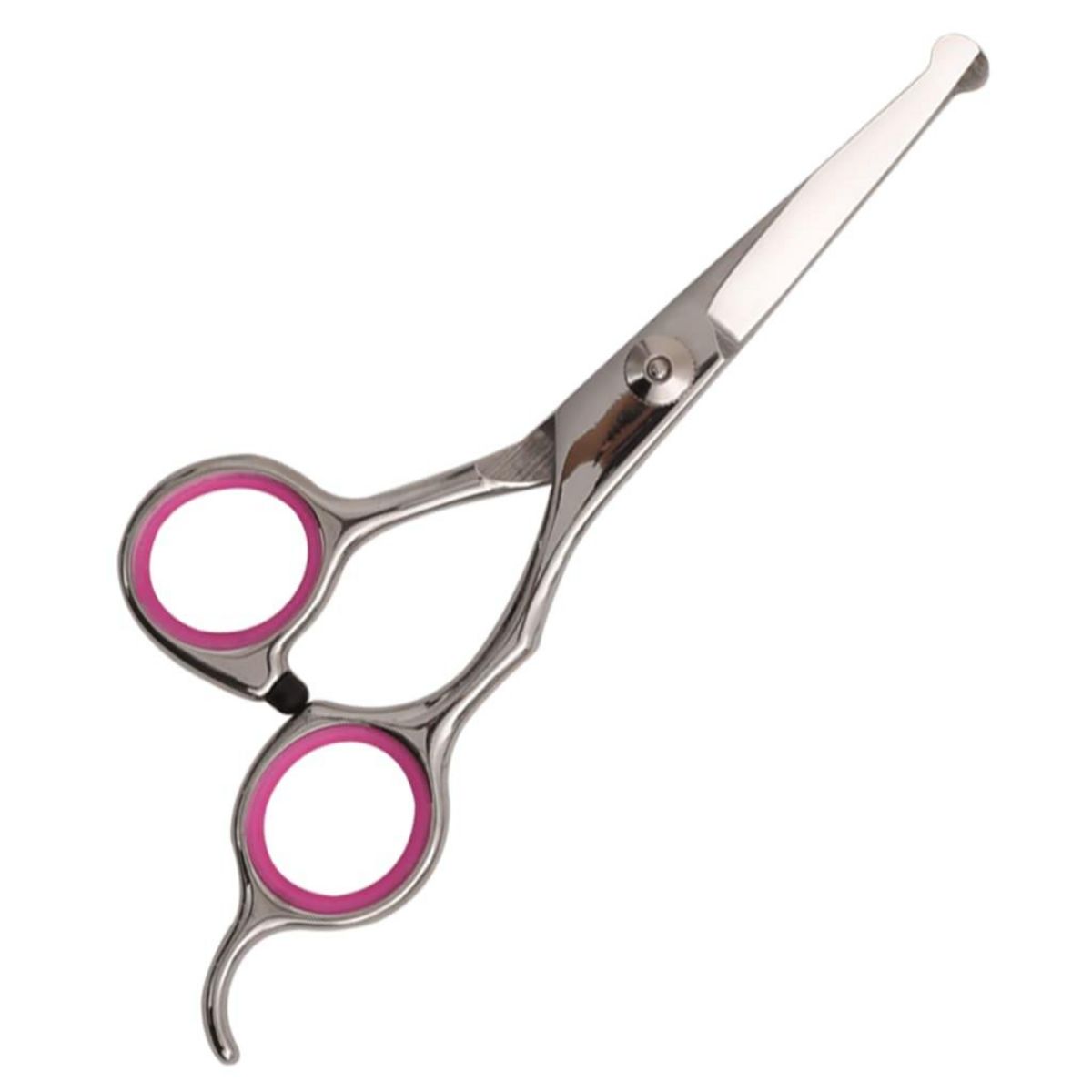 VIDAXL Ensemble de ciseaux de toilettage pour chien 5 pcs