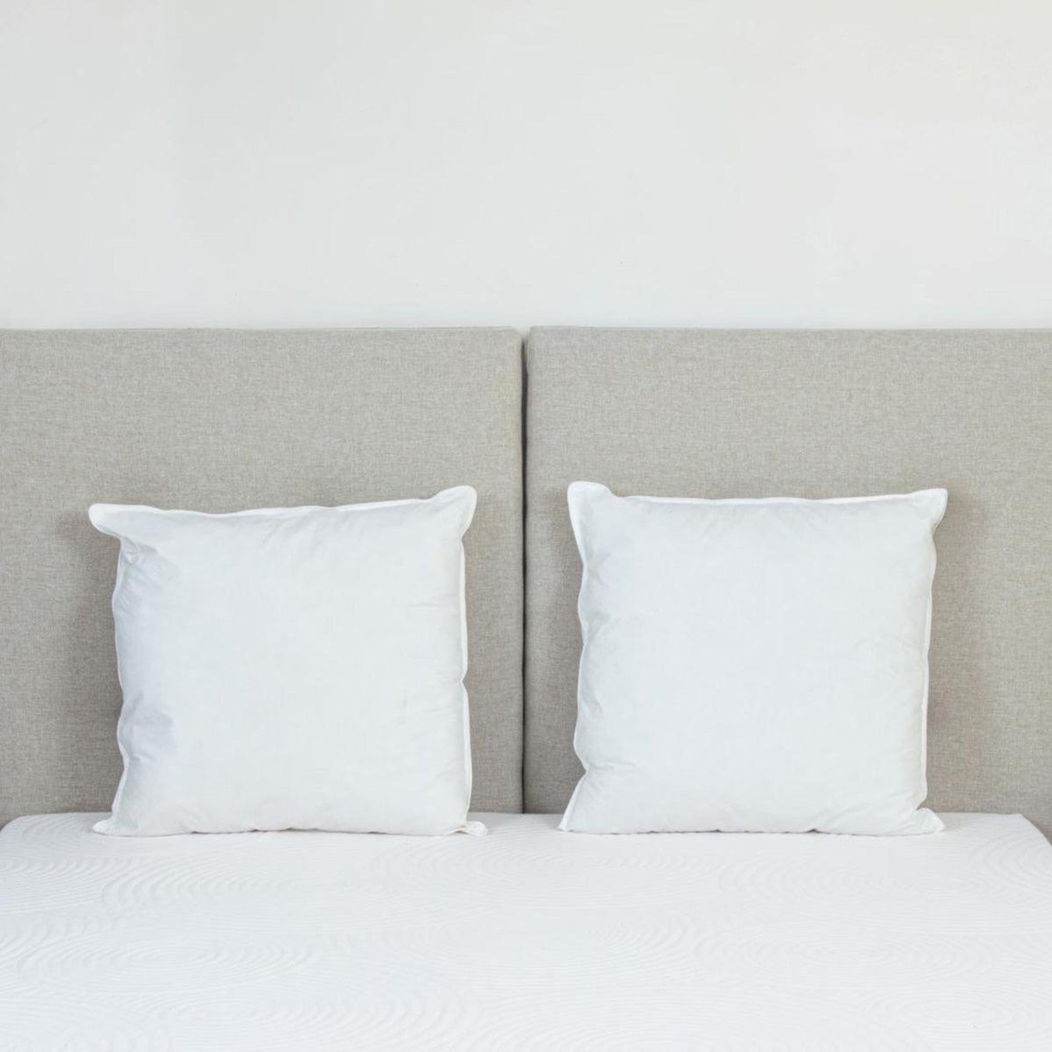 Voir la diapositive 4 : BELLECOUR Bellecour literie | oreiller alaska | fibres creuses polyester