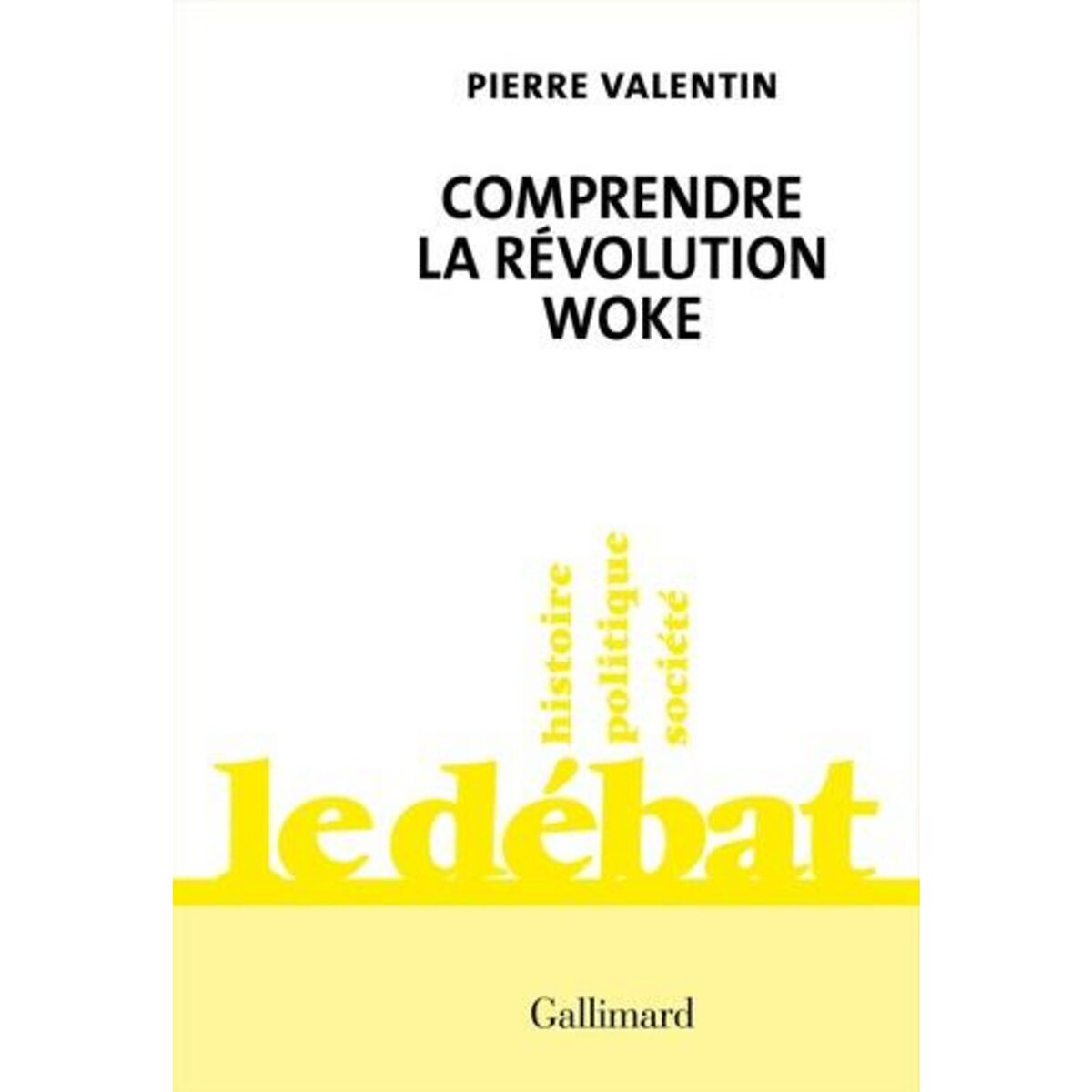 COMPRENDRE LA REVOLUTION WOKE, Valentin Pierre pas cher 