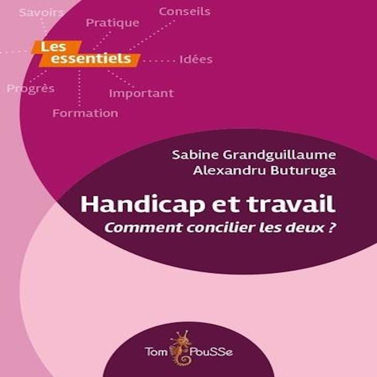HANDICAP ET TRAVAIL. COMMENT CONCILIER LES DEUX ?, Grandguillaume Sabine