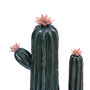 Voir la diapositive 2 : ATMOSPHERA Cactus Déco  Exotic Panama  40cm Vert