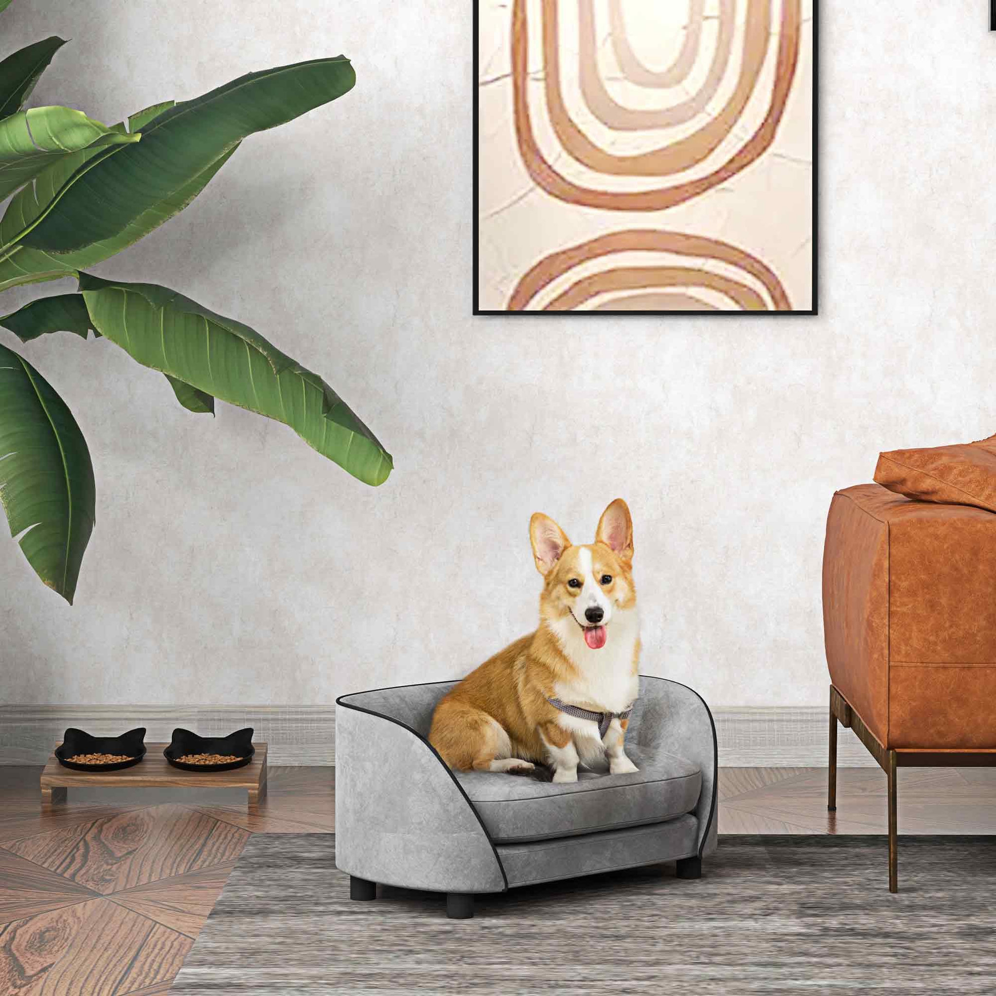 Voir la diapositive 2 : PAWHUT Canapé pour chien design - coussin déhoussable - dim. 67L x 43l x 31H cm - velours gris