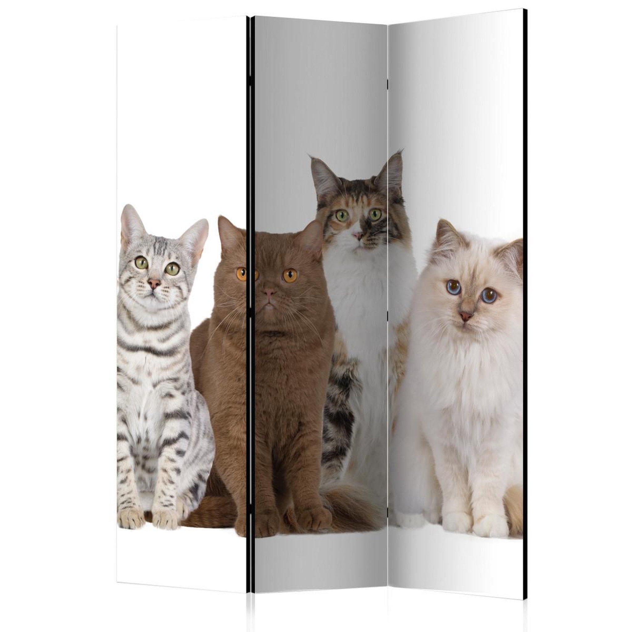 Paris Prix Paravent 3 volets  sweet cats  135x172cm