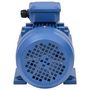 Voir la diapositive 4 : VIDAXL Moteur electrique triphase Aluminium 1,5kW/2 CH 2840 tr/min