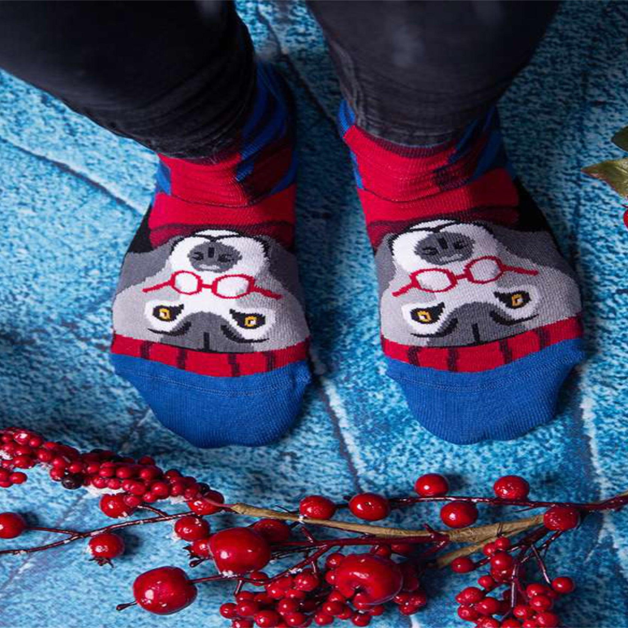 Voir la diapositive 4 : PIRIN HILL Chaussettes en bambou loup
