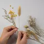 Rayher Kit cadre en bois avec fleurs séchées