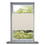 Voir la diapositive 1 : VIDAXL Store plisse 50x100 cm Creme