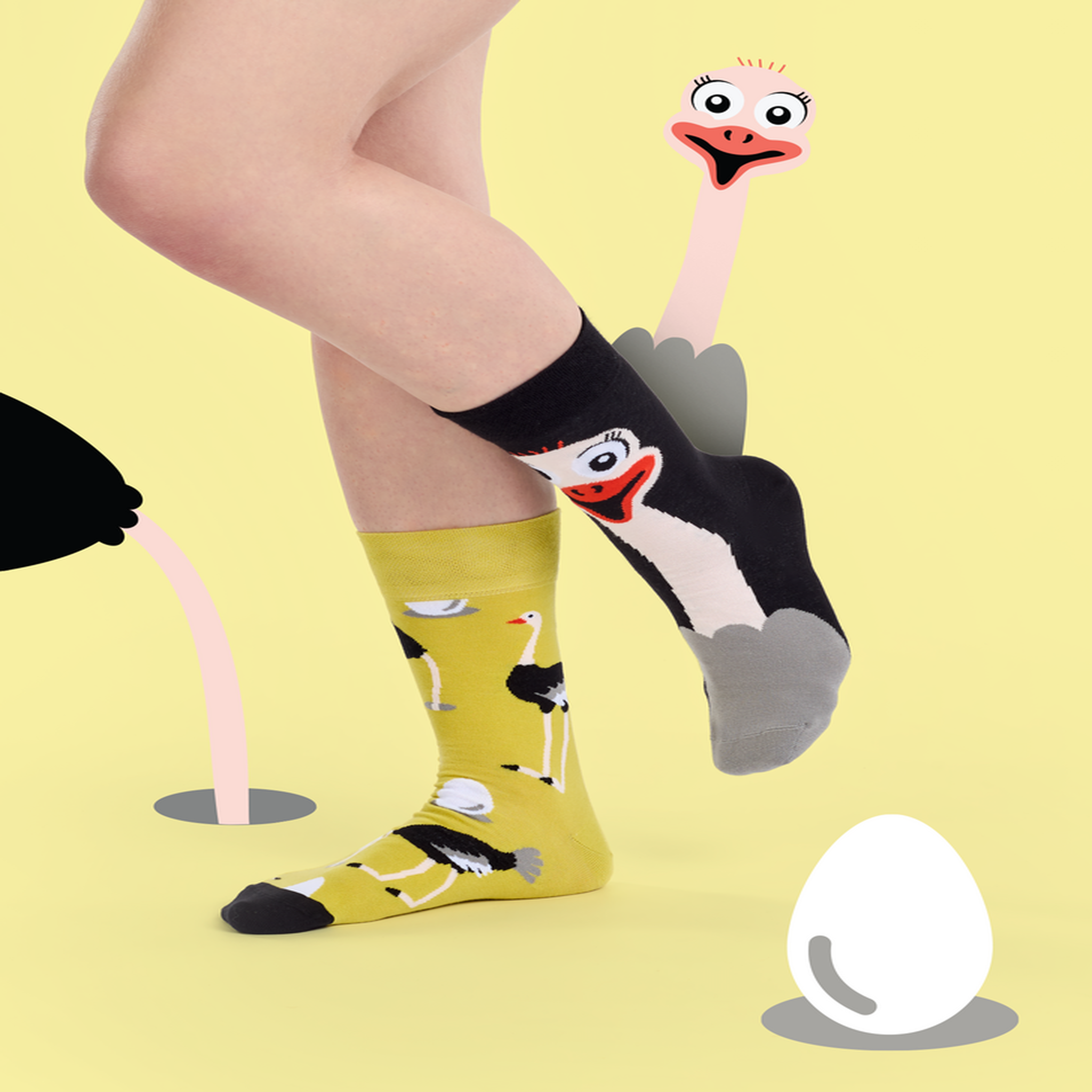 Voir la diapositive 5 : DEDOLES Chaussettes autruche