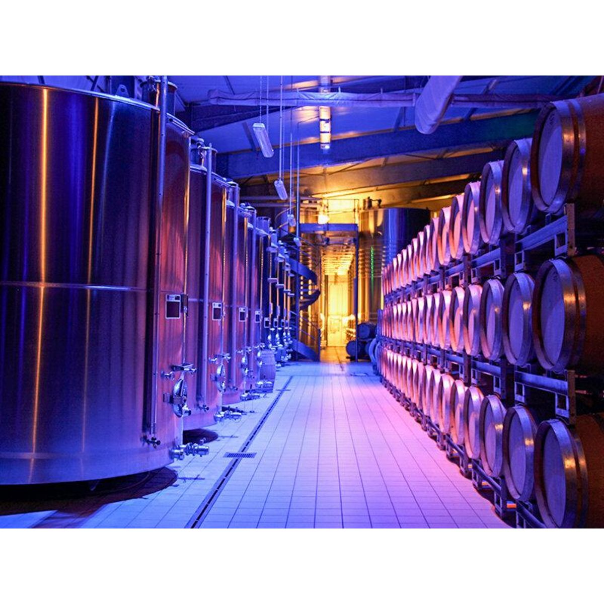 Smartbox Dégustation de champagnes et visite en famille près de Reims - Coffret Cadeau Gastronomie