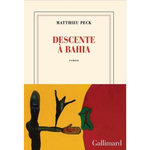 DESCENTE A BAHIA, Peck Matthieu