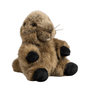 Voir la diapositive 1 : Anima Peluche Marmotte Tetabizous- 17cmH