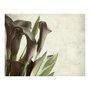 Voir la diapositive 2 : Paris Prix Papier Peint  Fleurs Calla Violet Foncé Vintage