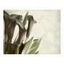 Voir la diapositive 2 : Paris Prix Papier Peint  Fleurs Calla Violet Foncé Vintage