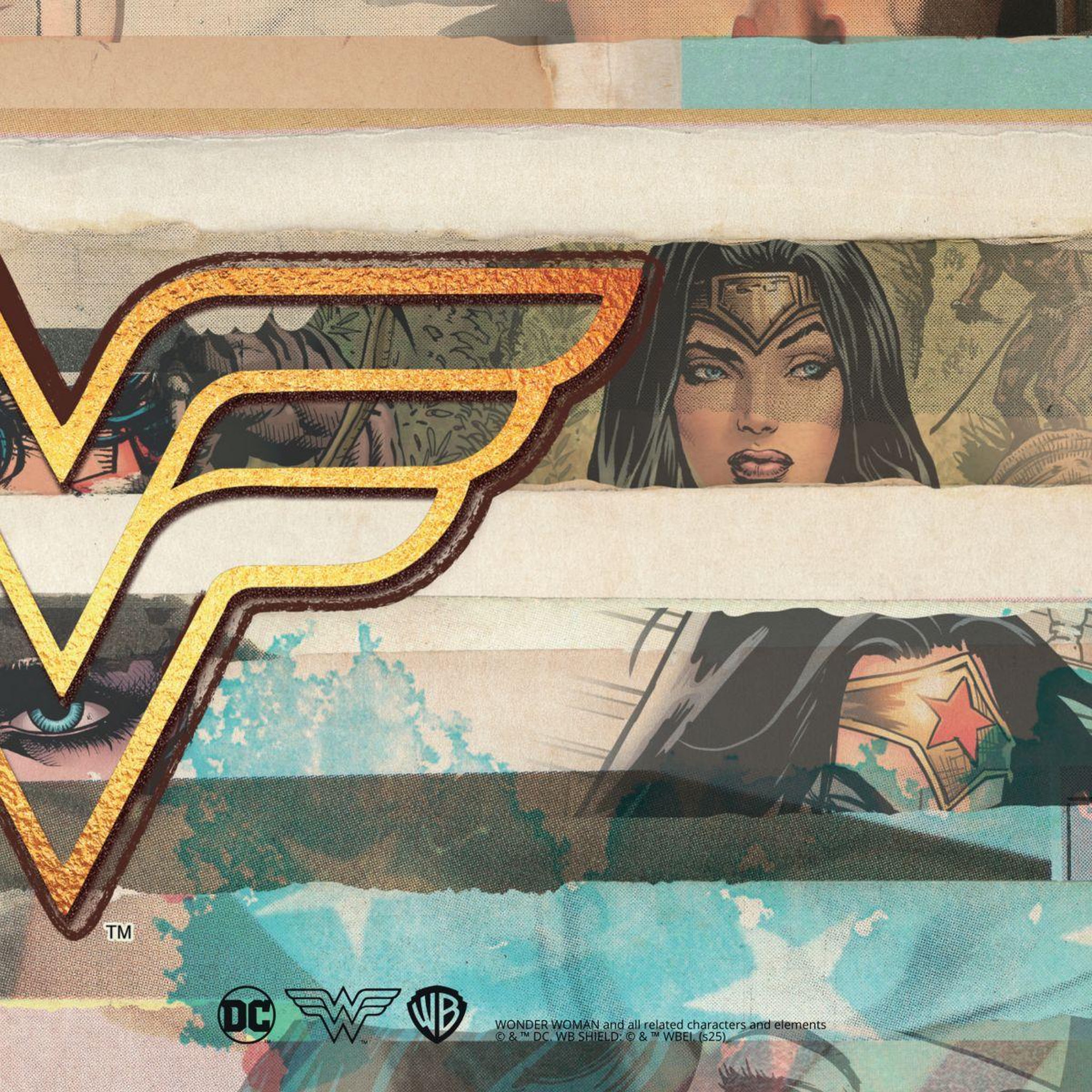 Voir la diapositive 4 : LEXIP Tapis de souris x warner - wonder woman - strips tapis x