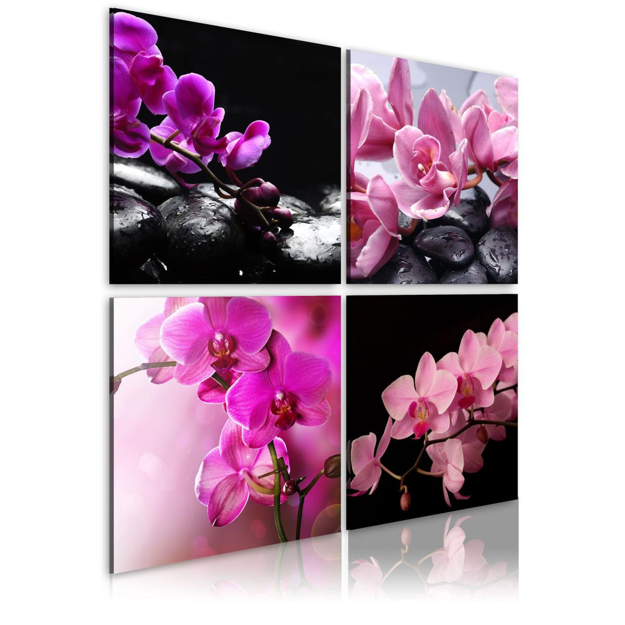 Voir la diapositive 1 : Paris Prix Tableau Imprimé  Orchidées Plus Belles Que Jamais