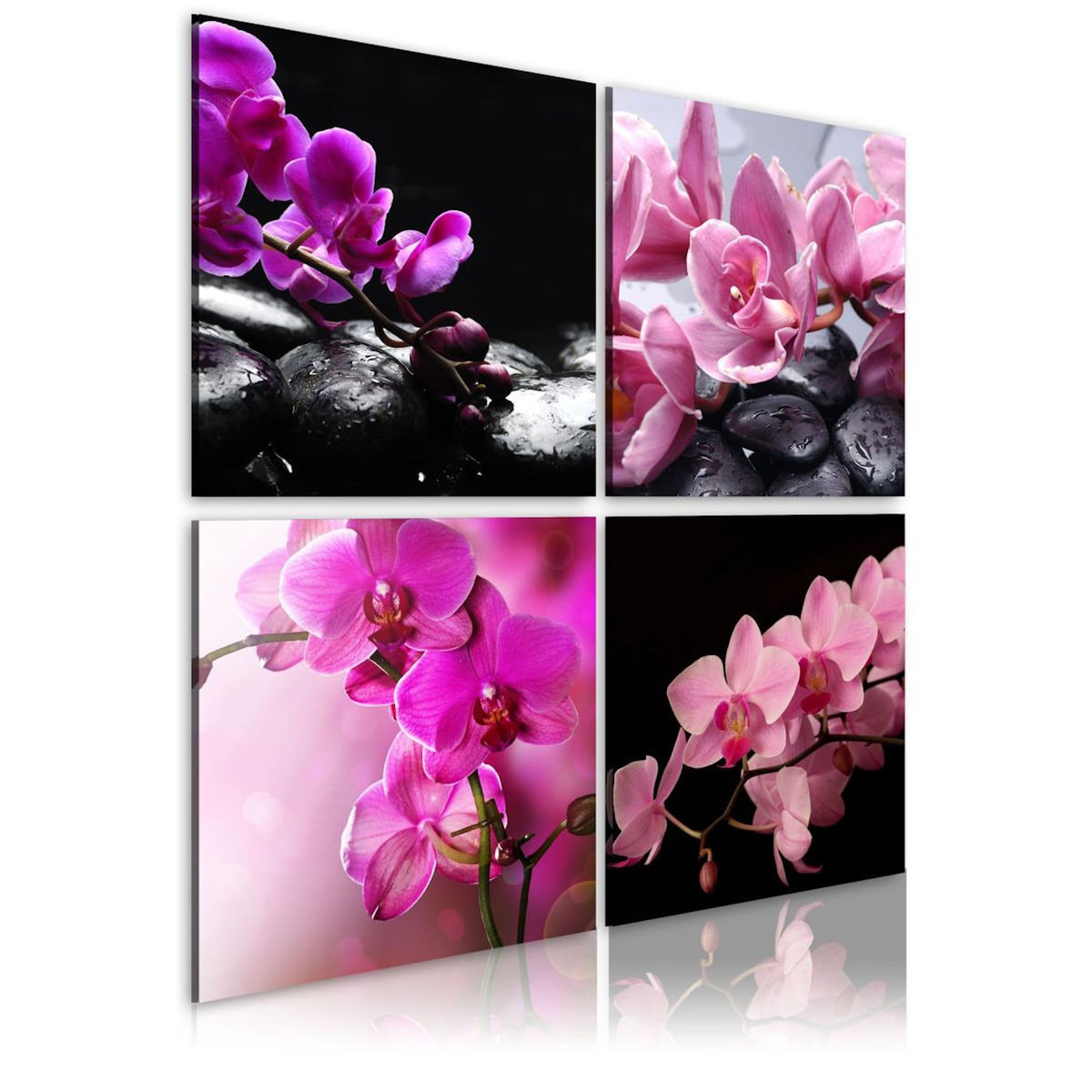 Paris Prix Tableau Imprimé  Orchidées Plus Belles Que Jamais
