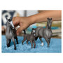 Voir la diapositive 2 : Schleich 13955 - Jument Selle Français HORSE CLUB -