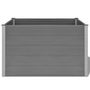 Voir la diapositive 4 : VIDAXL Lit sureleve de jardin WPC 150x100x91 cm Gris