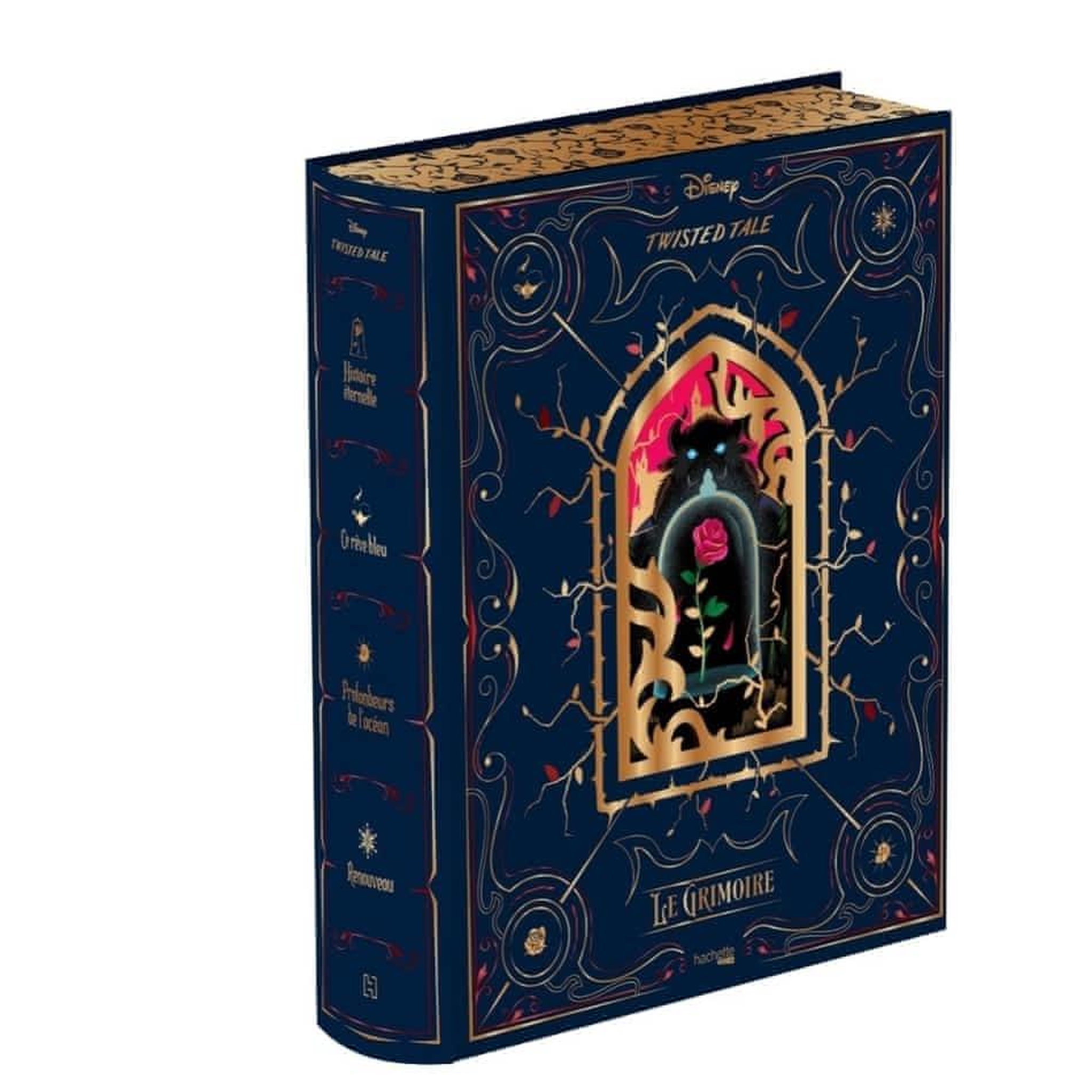 LE GRIMOIRE. HISTOIRE ETERNELLE ; CE REVE BLEU ; PROFONDEURS DE L'OCEAN ; RENOUVEAU, Braswell Liz